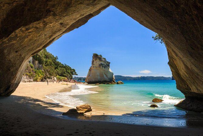 Discover the hidden treasures of Cathedral Cove
