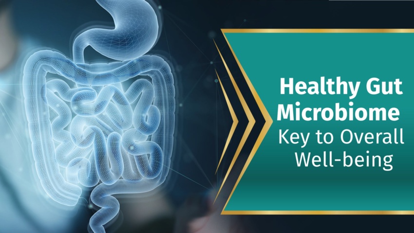 Learn how to improve gut health | Key to overall well being